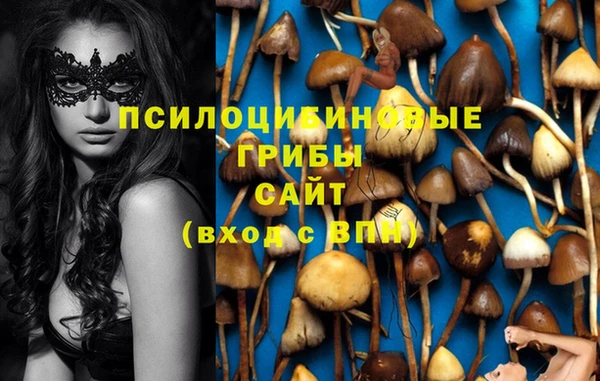 наркотики Абинск