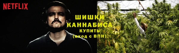 стаф Абаза