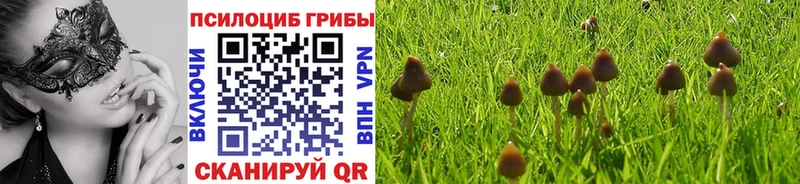 kraken Задонск Галлюциногенные грибы ЛСД купить наркотики цена